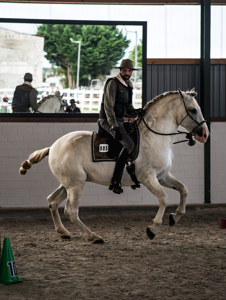 Der Sporn am Gurt — verlorenes Wissen?