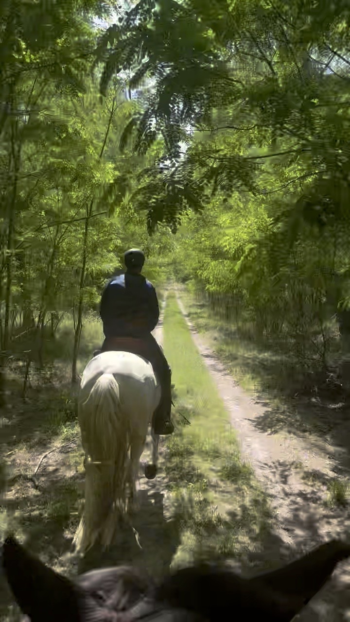 Ausritt durch den Naturpark Stechlin bei Lindow Brandenburg