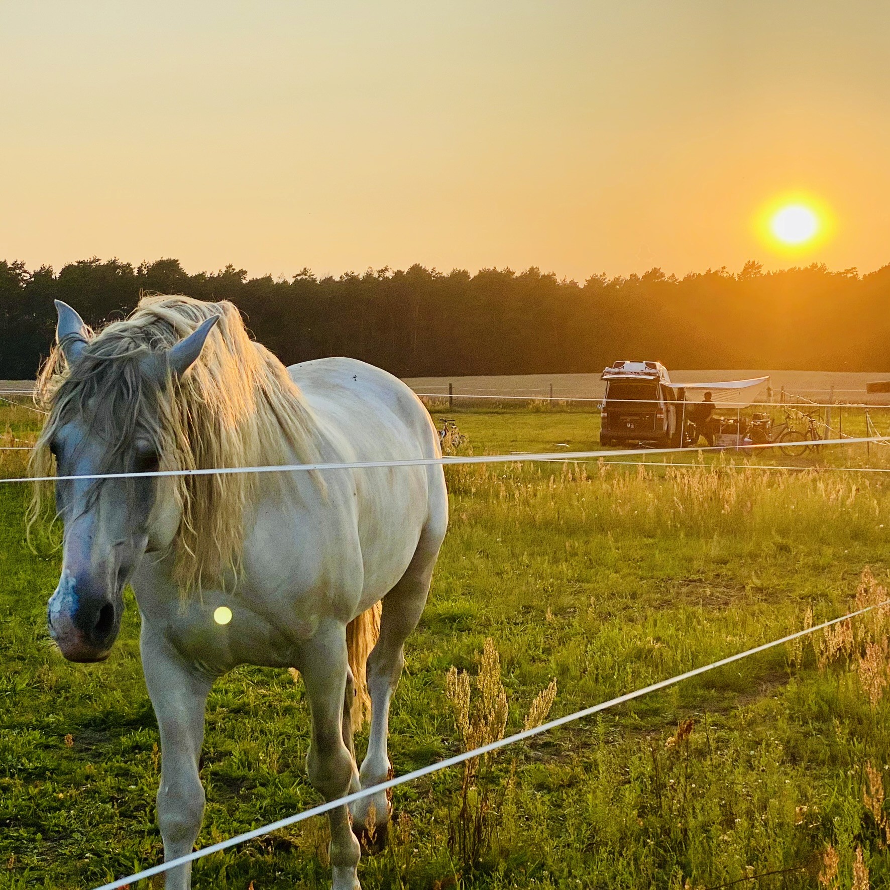 Camping mit Pferd auf der Paradise Ranch Lindow im Naturpark Stechlin