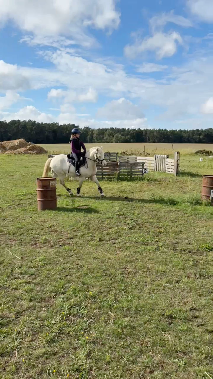 Barrel-Training Working Equitation