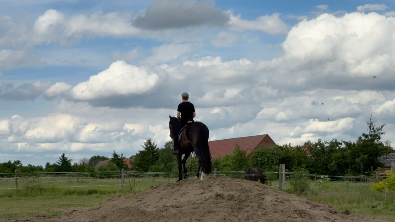 Hu00fcgeltraining Working Equitation