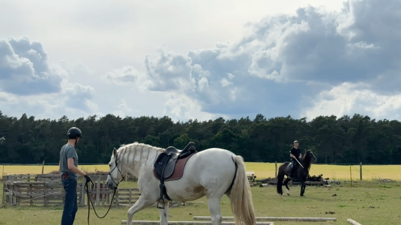 Working Equitation Trail-Training — Reiter am Hindernis