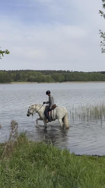 Reiten im See