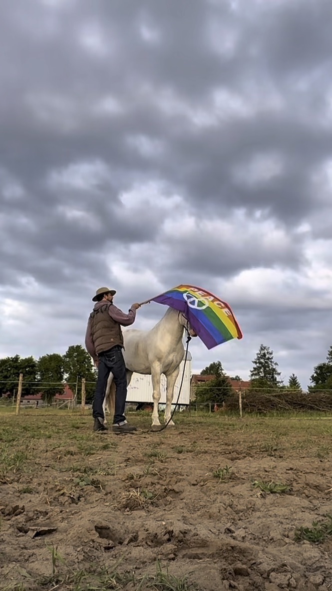 Gelassenheitstraining