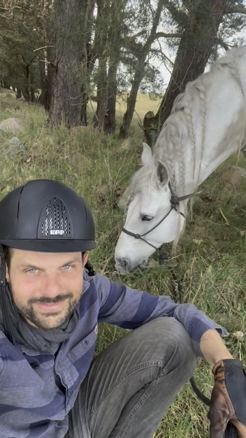 Pause mit Pferd im Wald