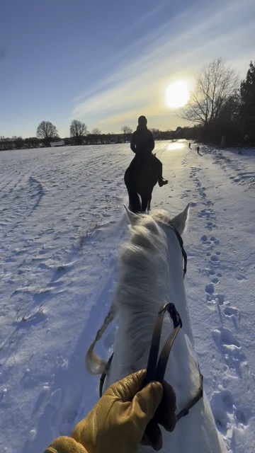 Winterausritt im Schnee