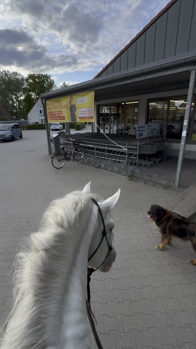 Mit dem Pferd zum Einkaufen