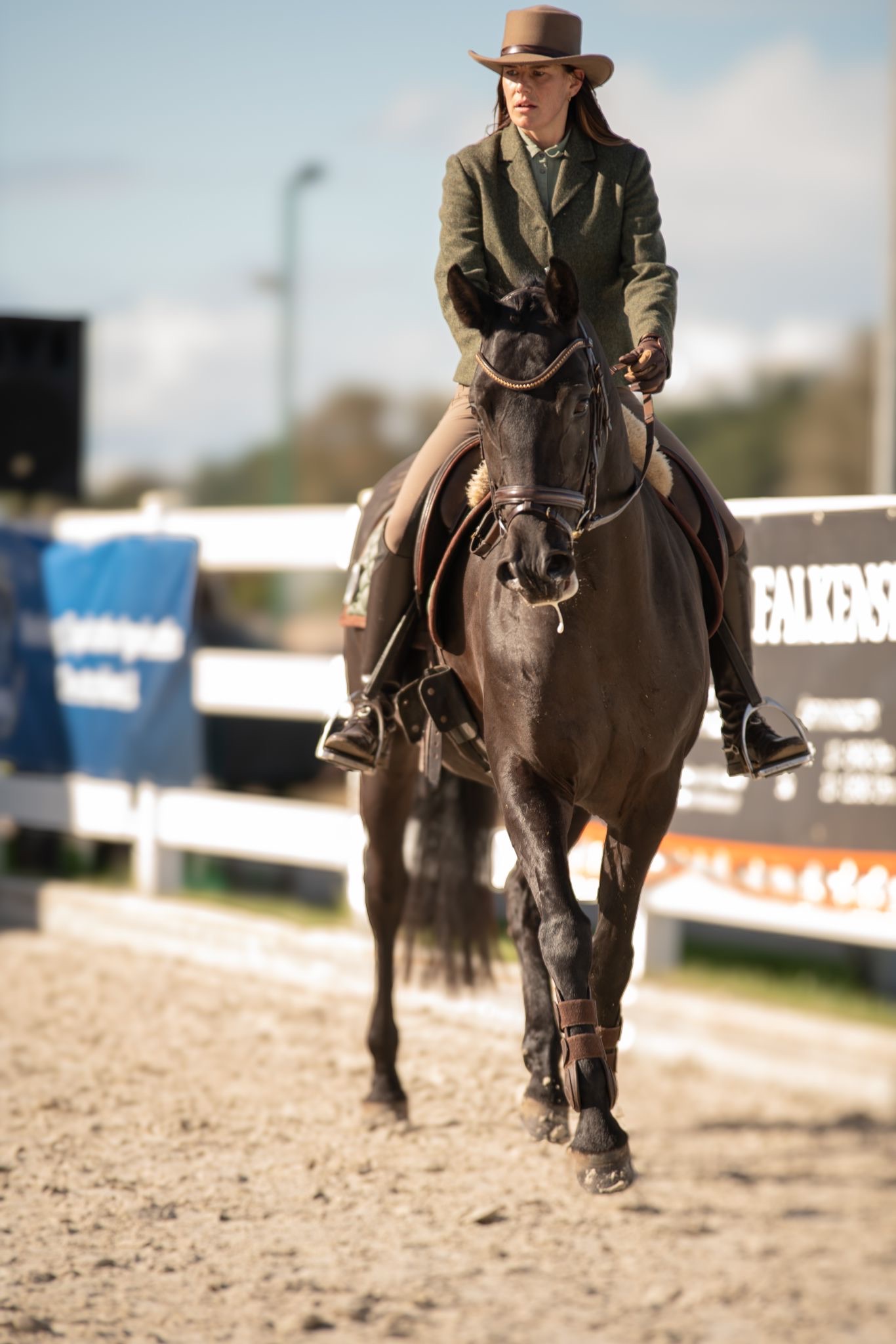 Trail-Parcours Working Equitation