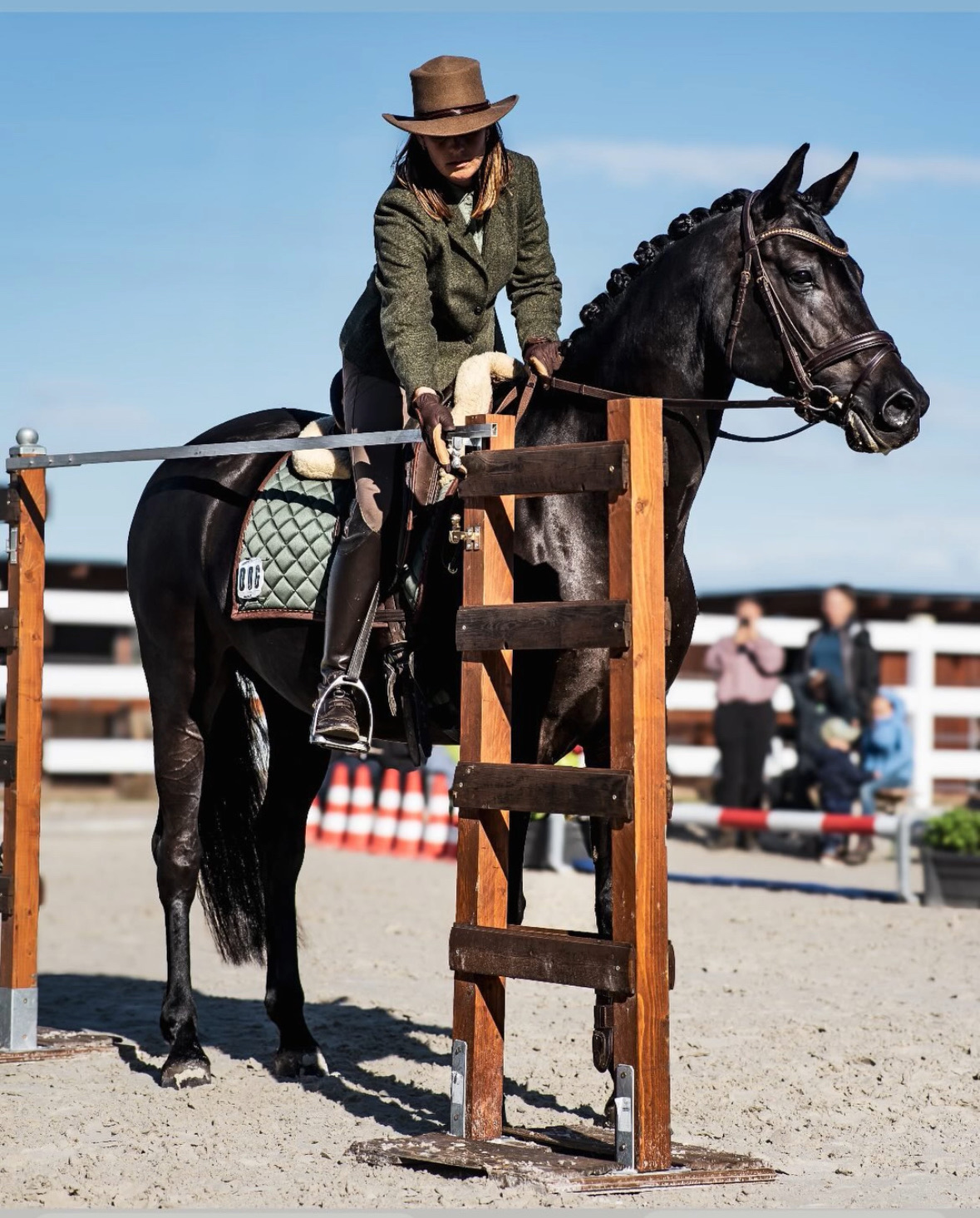 Was ist Working Equitation? Der komplette Guide für Einsteiger